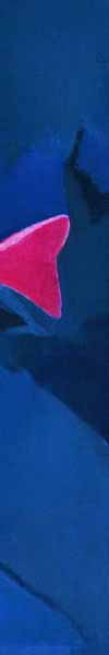 Detail from Pink Fish!